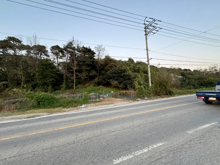 본건 서측에서 촬영