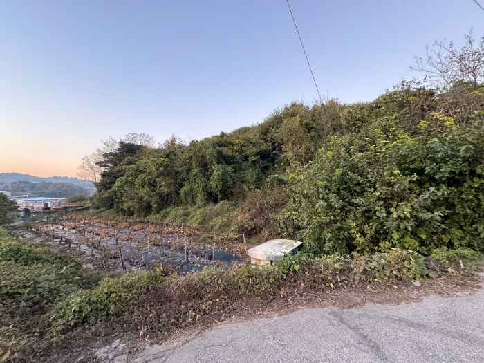 본건 남동측에서 촬영