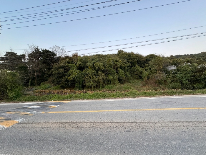 본건 남서측에서 촬영