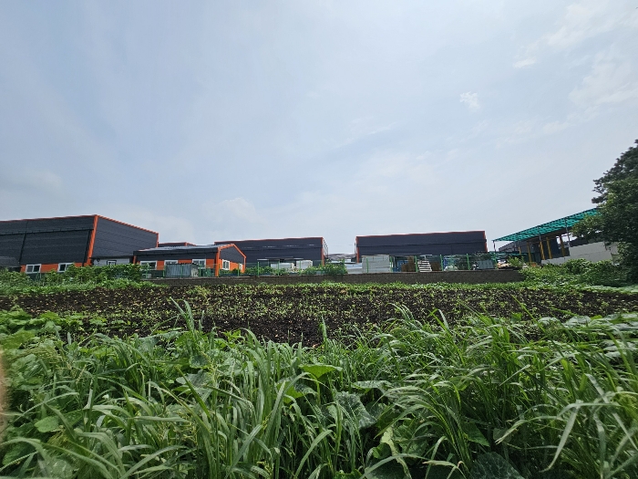 본건전경