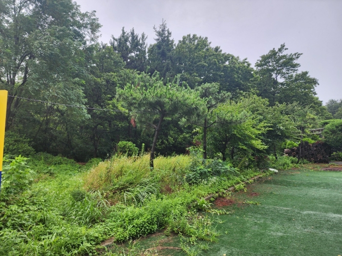기호(2, 3) - 남동측촬영