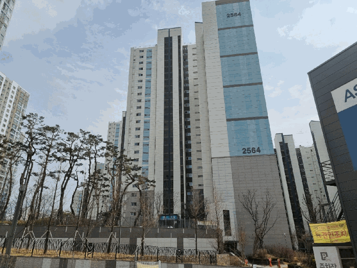 본건 서측에서 촬영