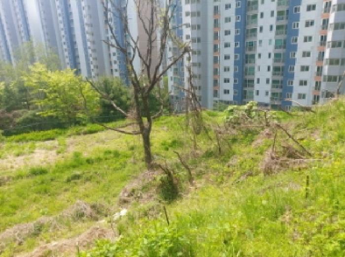 해당 부동산 전경(1)