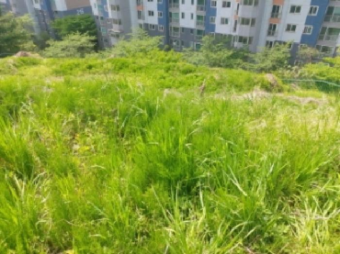 해당 부동산 전경(3)