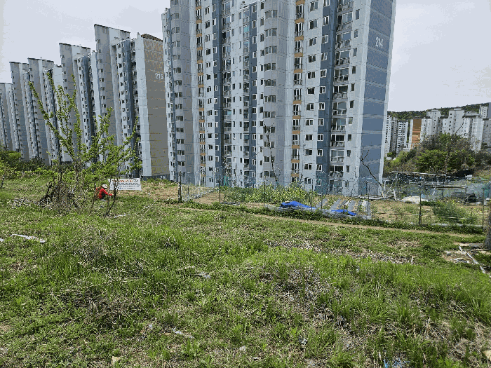 본건 전경(북쪽에서 촬영)