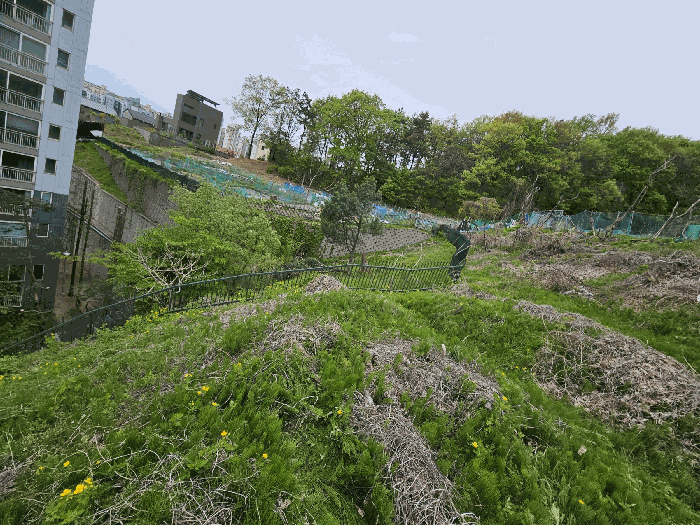 본건 전경(하단부)