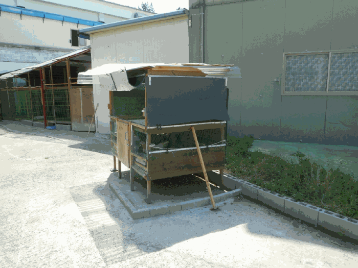 본건 기호(2) 지상의 이동, 철거가 용이한 목구조물