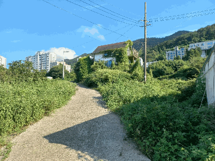 일련번호 7, 9 토지
