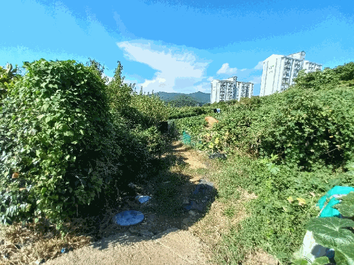 일련번호 14 토지
