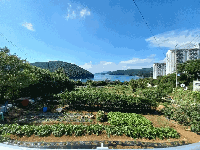일련번호 15, 16 토지