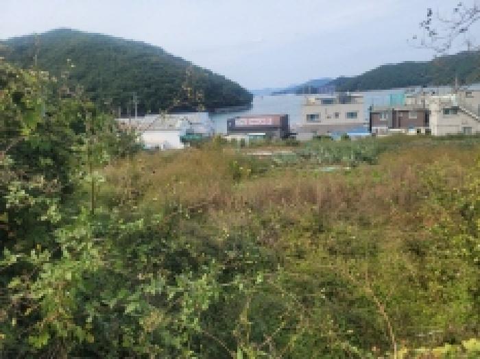 목록 19