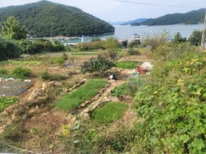 목록 15