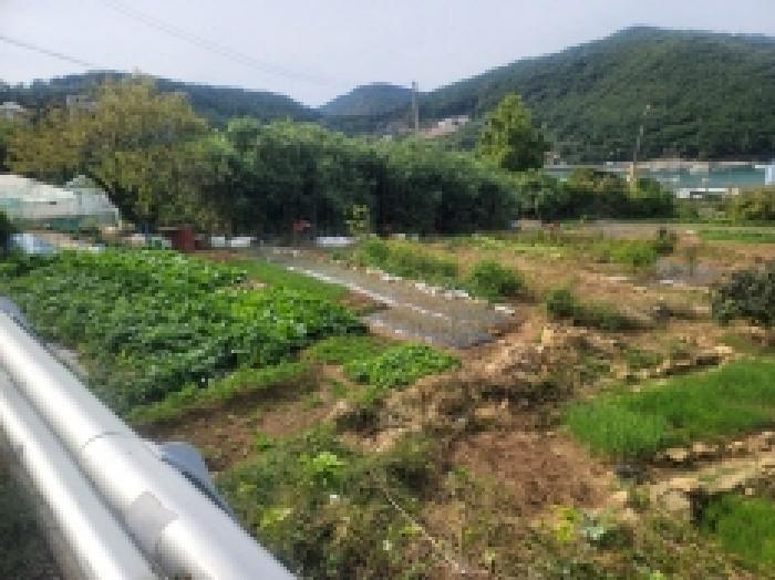 목록 15