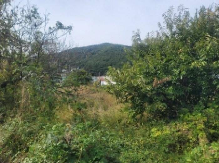 목록 19