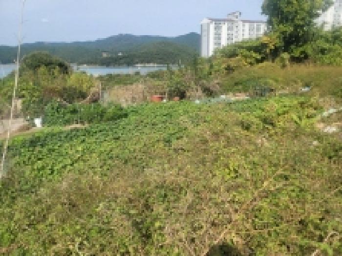 목록 3, 4