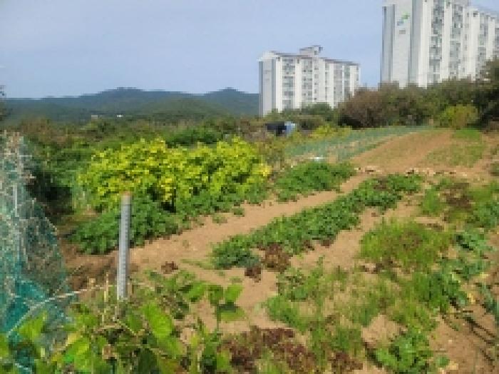 목록 14