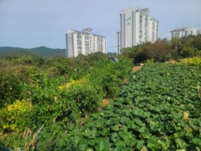 목록 14
