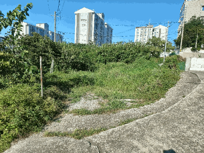 일련번호 2 토지