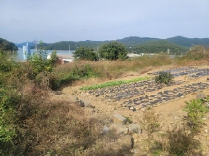 목록 6