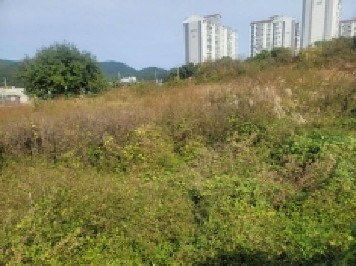목록 6