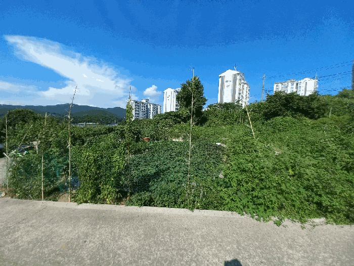 일련번호 3,4 토지