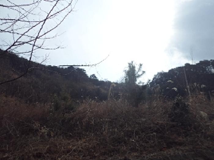 가곡리 산95-19외 전경