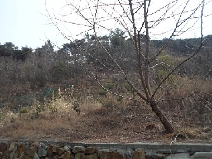 가곡리 103-4외 전경