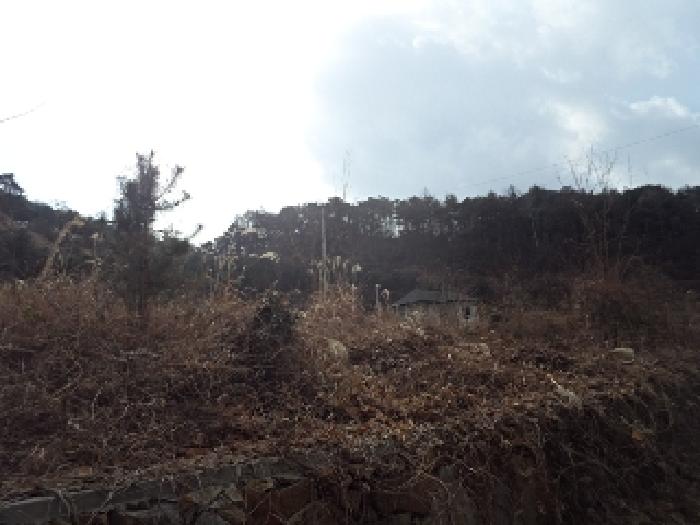 가곡리 산95-19외 전경