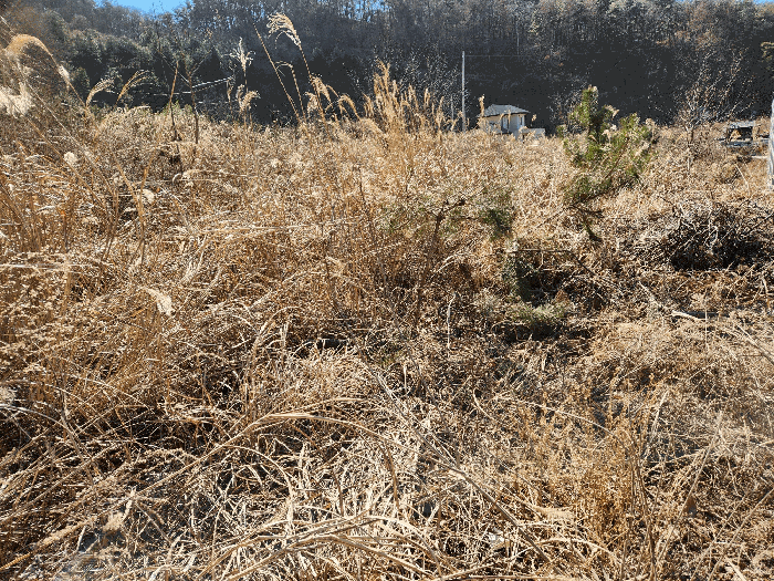 본건 기호 (8) 전경