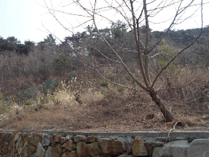 가곡리 산95-19외 전경