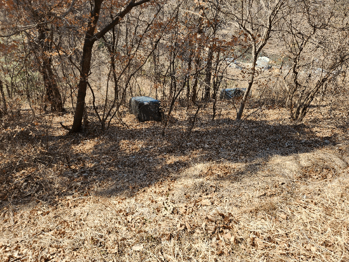 본건 기호 (6) 전경