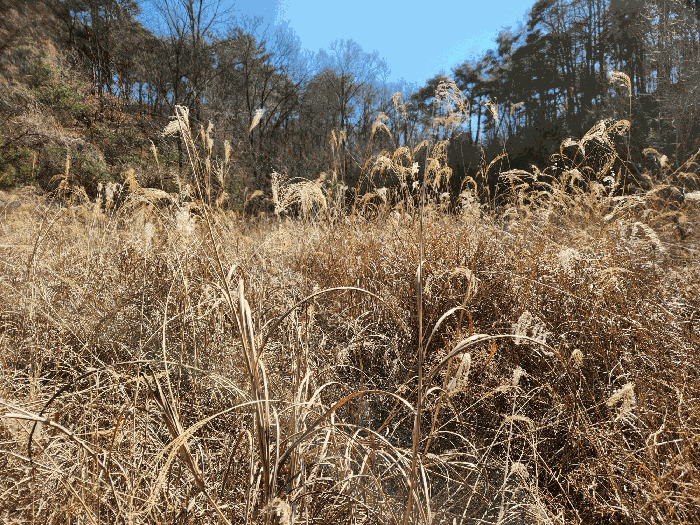 본건 기호 (4) 전경