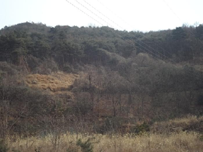 가곡리 산95-19외 전경