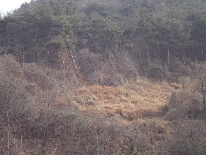 가곡리 산95-19외 전경