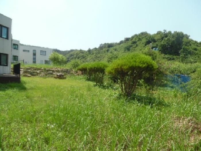 목록3. 토지(임야) 전경(10)
