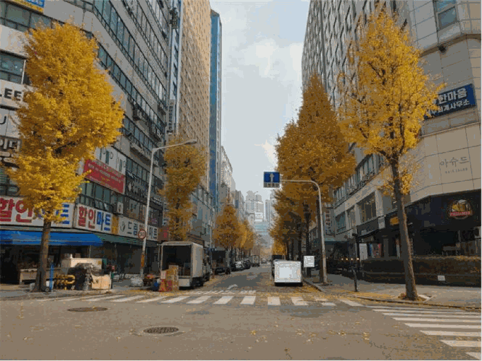 인근 전경