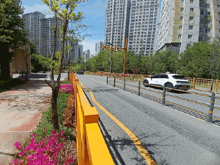 본건 및 접면도로 전경