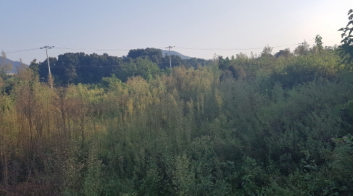 * 목록20. 전경