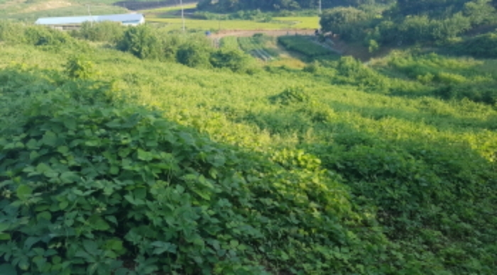 * 목록17. 전경