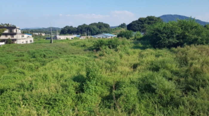 * 목록13. 전경