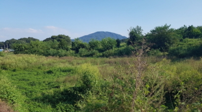 * 목록11. 전경