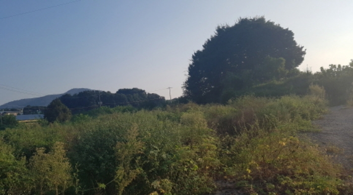 * 목록20. 전경