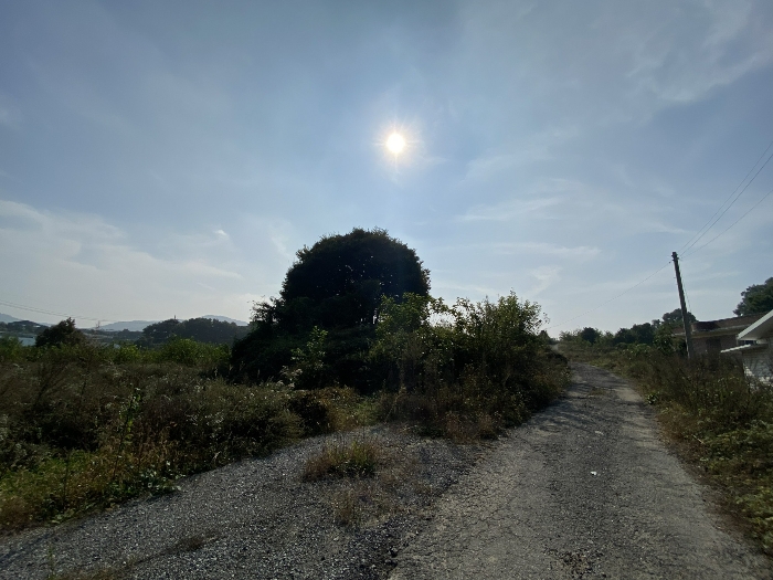 기호[20] 인근