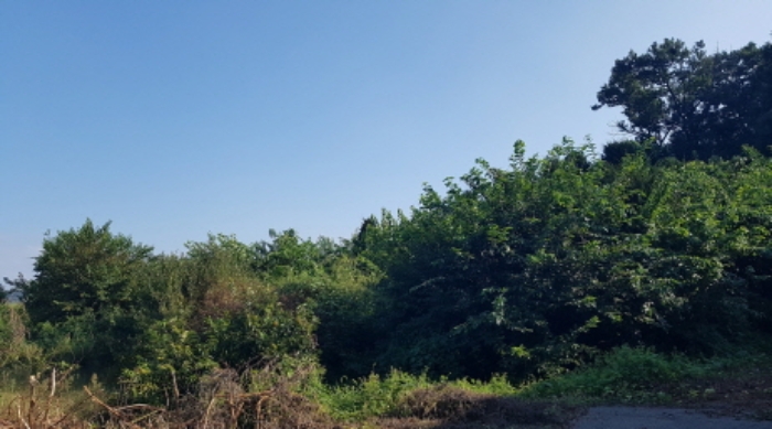 * 목록8. 일부 전경