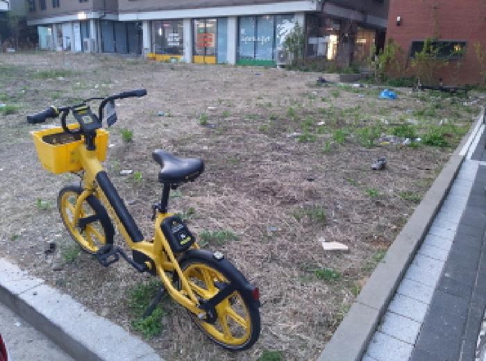 * 본건 목적물 전경