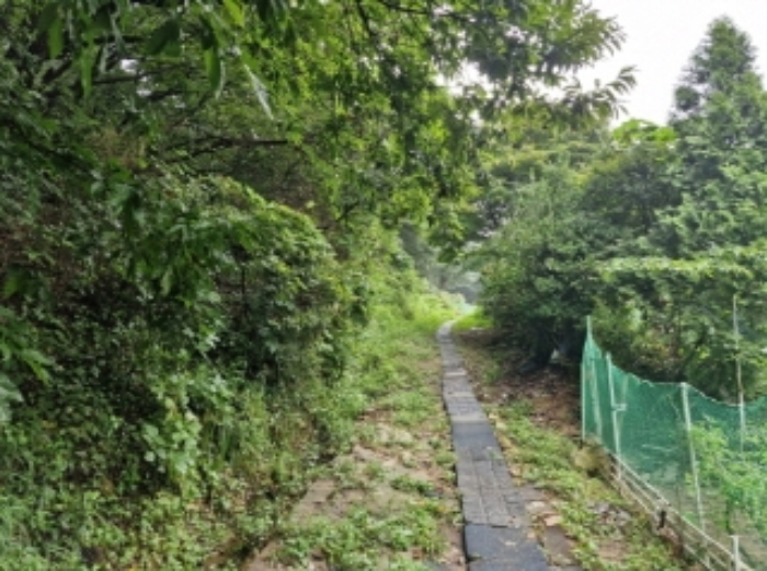 2-8 임야 내