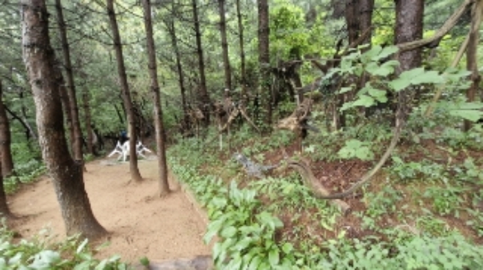2-9 임야 내