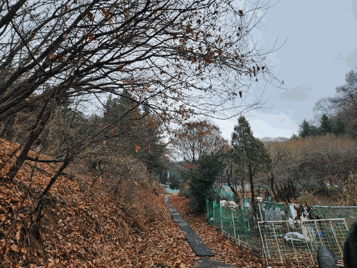 본건 주변 및