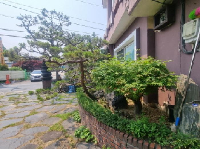 건물 전경