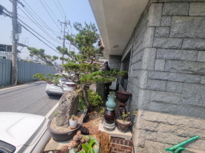 건물 전경